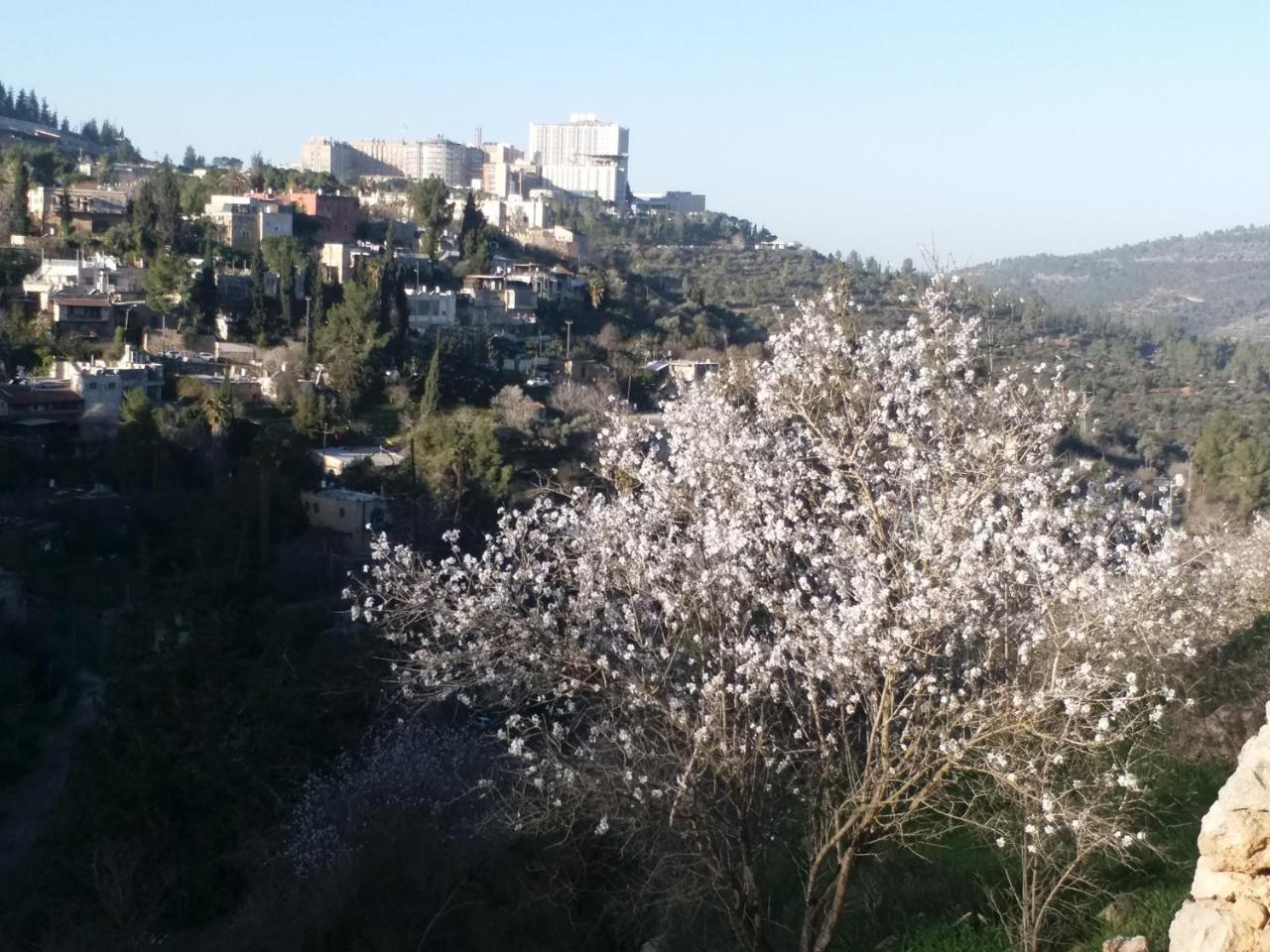 Avrahami Lake View Διαμέρισμα Ιερουσαλήμ Εξωτερικό φωτογραφία